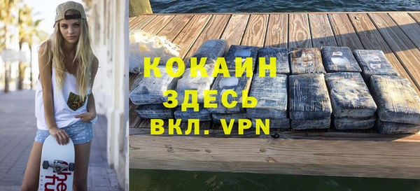 хмурый Алексин