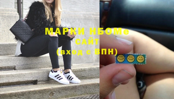 хмурый Алексин