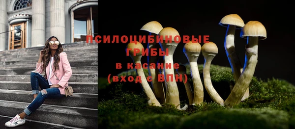 хмурый Алексин