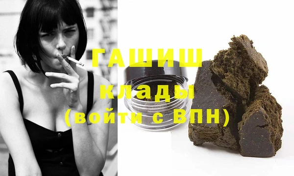 хмурый Алексин