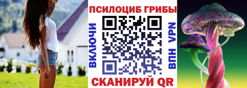 Псилоцибиновые грибы Cubensis  Приморск 