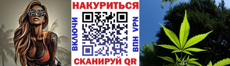 omg как зайти  Приморск  МАРИХУАНА Amnesia  хочу  